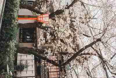 租号玩提现到支付宝为什么给我冻结了