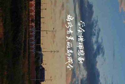 权倾三国直接兑换第二个神将需要什么条件？