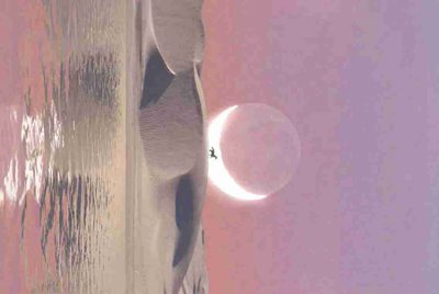 这个租号玩怎么登陆10232