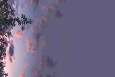租号玩上号器安全不