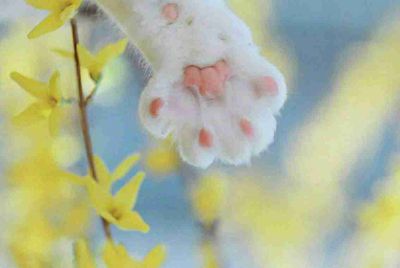 在抖猫娱乐当主播发展前景怎么样？