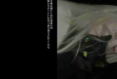 王者荣耀租号平台号租出后到时间了一般怎么收回?