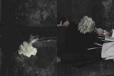 红军长征途中的故事的名字