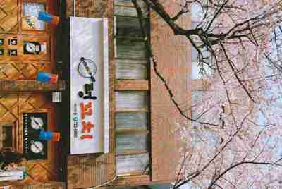 qq号是干什么的