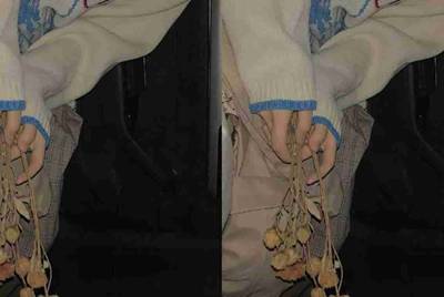 大话西游2 适不适合玩组号