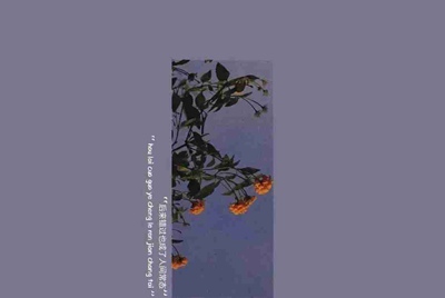在租号玩买的号 玩了十几天.卖家要申诉回去.怎么办