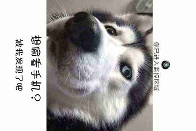 租号玩上号流程是什么样？怎么操作？