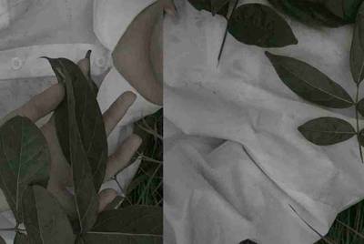 方舟生存进化那个私服比较好玩