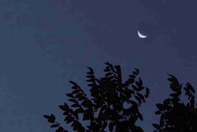 租号玩上号器安全不