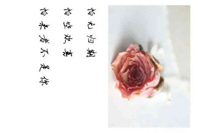 租号玩买号安全吗