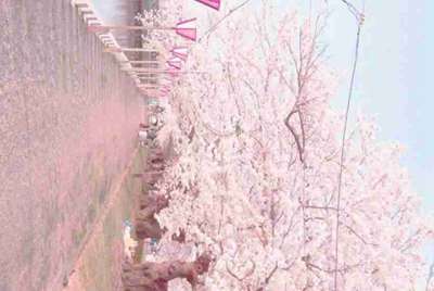 那个有梦幻西游手游号租玩，70级左右要便宜的，垃圾号没关系，