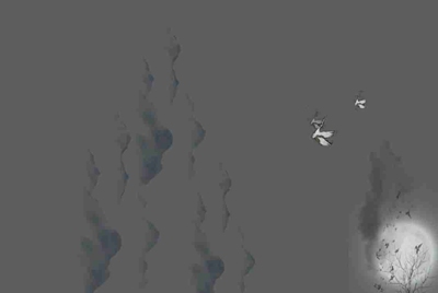 租号猫能不能两个地方同时登录？