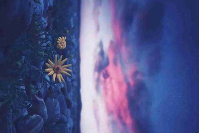 求梦幻西游刷赚钱方法 一个人 多天电脑 可以投入 资金 要求每天赚到200以上的方法 复制免发 求高人指点