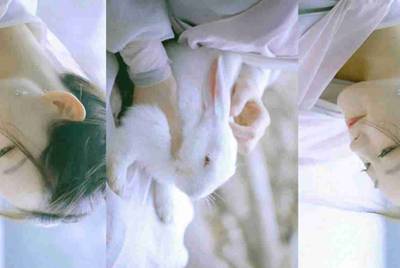 梦幻西游现在好多人都是多开号？请问。他们多开怎么挣钱的？