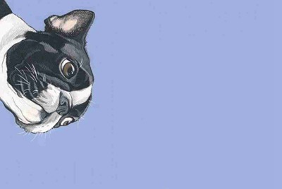 未成年人可以在交易猫上租号吗?