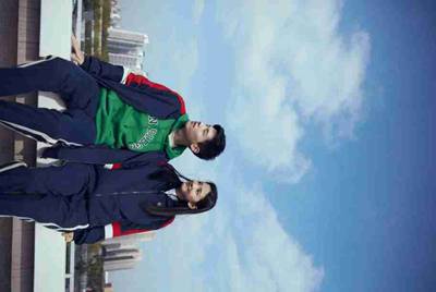 中国苹果手机手机怎么用twitter