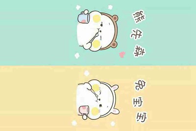 猫一年能发几次情