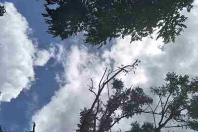 借我玩4399生死狙击的号？