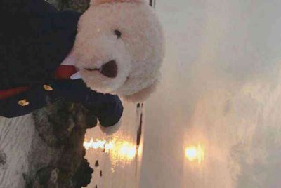 海洋量子号怎么走到船头