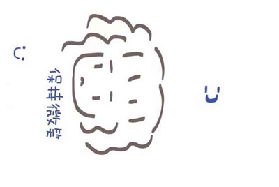 用U号租软件贼卡 有啥办法能不卡阿