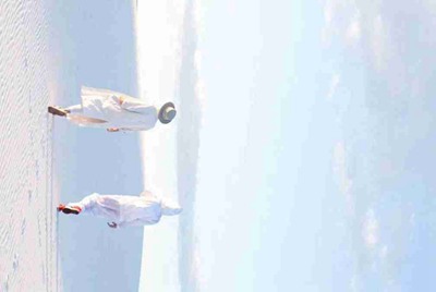 梦幻西游天机城技能怎么样 新门派天机城技能和定位