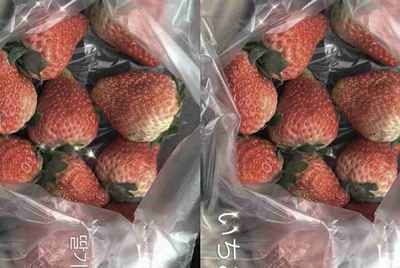 达达租号lol是不是骗子