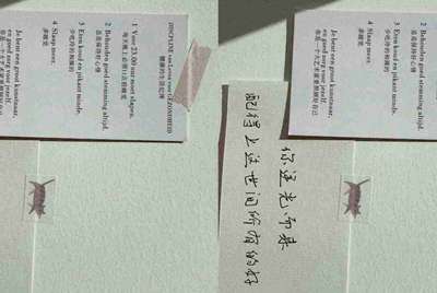 租号玩上号流程是什么样？怎么操作？