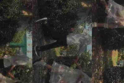 租号玩租用了一个游戏账号，怎么找它的订单号啊