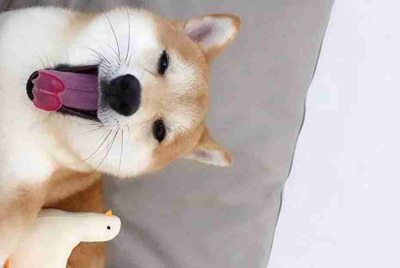 怎么样把odis服务器中的品牌盘下载下来