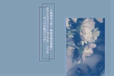 租号玩为什么进不去