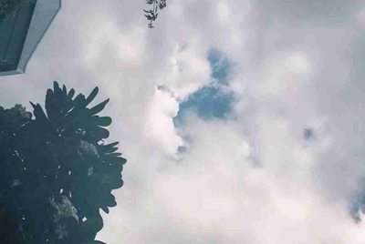 租号玩网页为什么打不开了