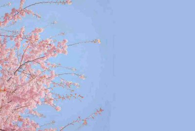 租号玩，手游租号怎么上号