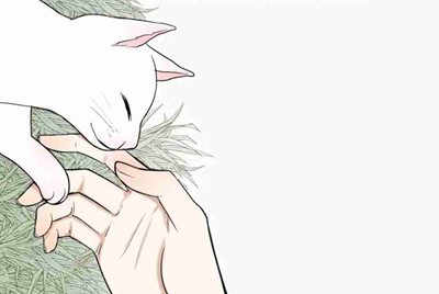飞火电竞签到红包怎么领取