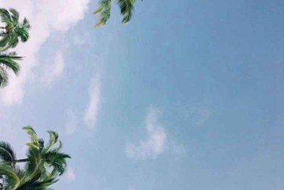 企鹅电竞怎么搜索主播房间号
