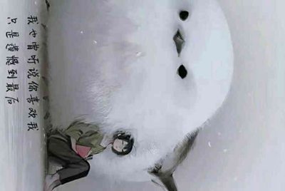租号玩上号流程是什么样？怎么操作？