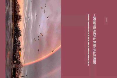 阴阳师有人共号吗，上学没时间玩，本人比较菜。。。