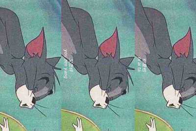 交易猫租号网吧不能用吗