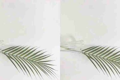 植物大战僵尸 花园战争 origin账号分享
