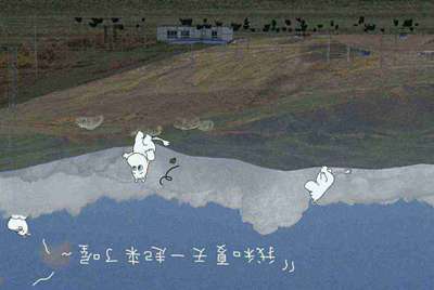 租号玩为什么进不去