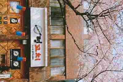 租号玩平台怎么样
